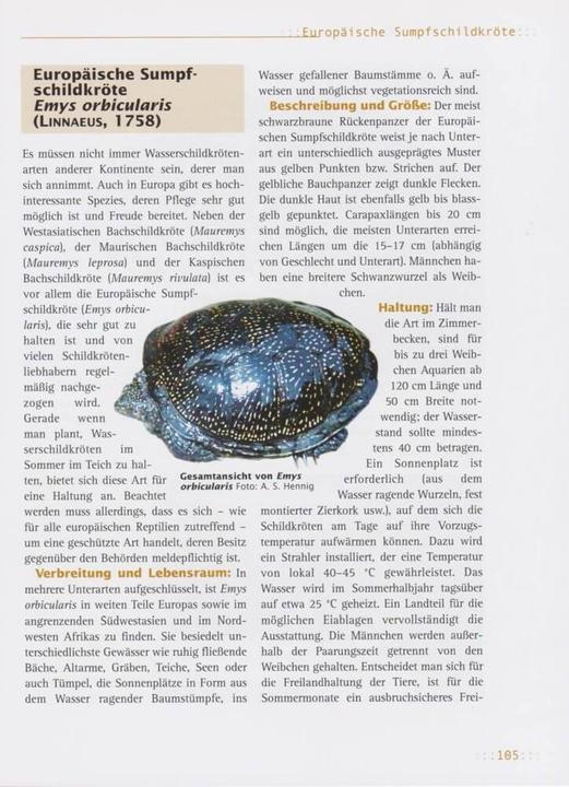 Produktbild Haltung von Wasserschildkröten (Deutsch, Andreas S. Hennig, 2012)