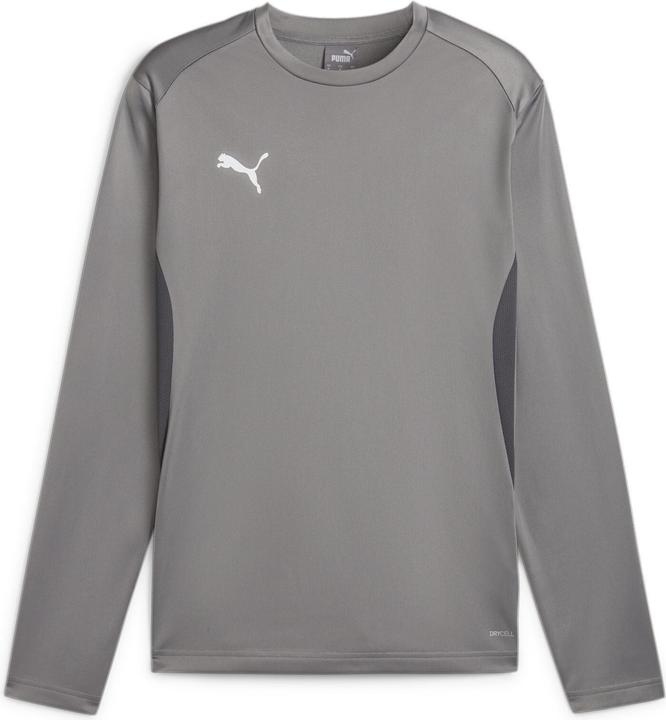 Puma teamGOAL Training Sweat
