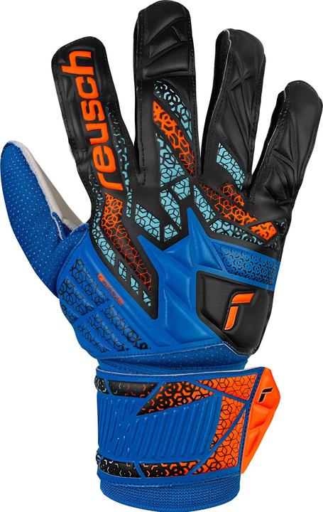 Reusch Attrakt Solid