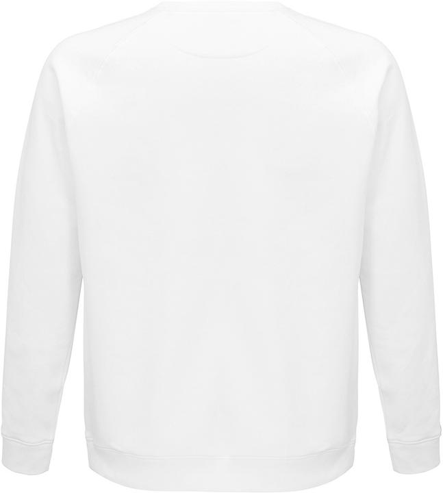 Actual product image Sols Space Sweatshirt Organic Cotton Raglan Sleeves (L)