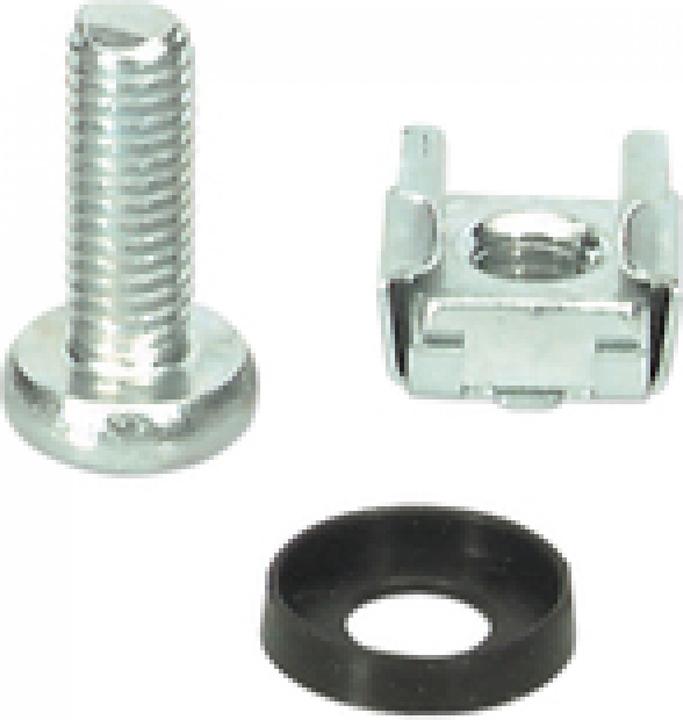 Immagine prodotto EFB Elektronik Set di dadi a gabbia 50 x M6, completo Set di dadi a gabbia composto da 50 dadi a gabbia M6 (M6)