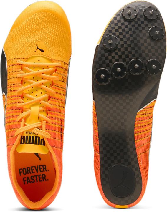 Produktbild Puma evoSPEED Future Faster+ 4 (44.5)