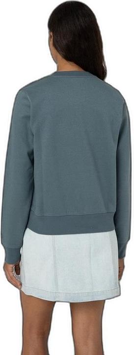 Produktbild Dickies Wordmark Heavyweight Sweatshirt mit Rundhalsausschnitt (L)