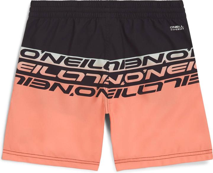Actual product image O'Neill Cali Stripe 14" Swimshorts (164)