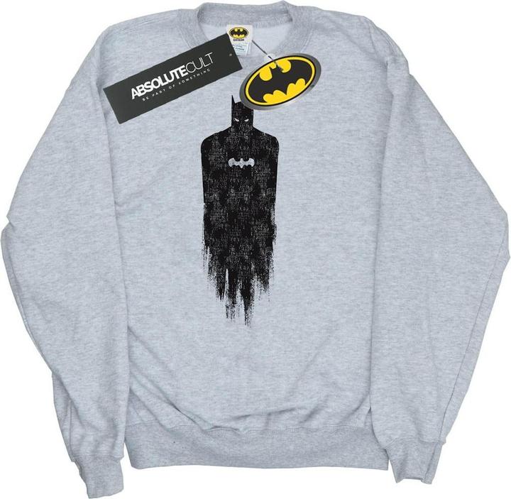 Batman Brushed Sweatshirt Jungen