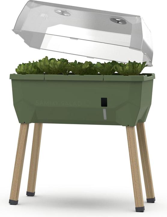 Gusta Garden Sammy Salad