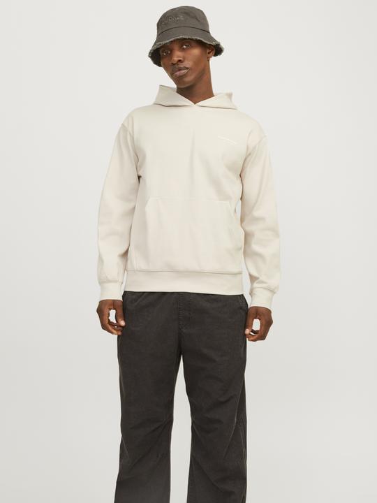 Immagine prodotto Jack & Jones Jcoaero Print Sweat Hood Noos (XL)
