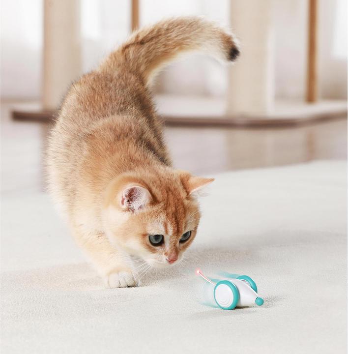 Produktbild Petlibro Pixie Mouse (Ballspielzeug Katze)