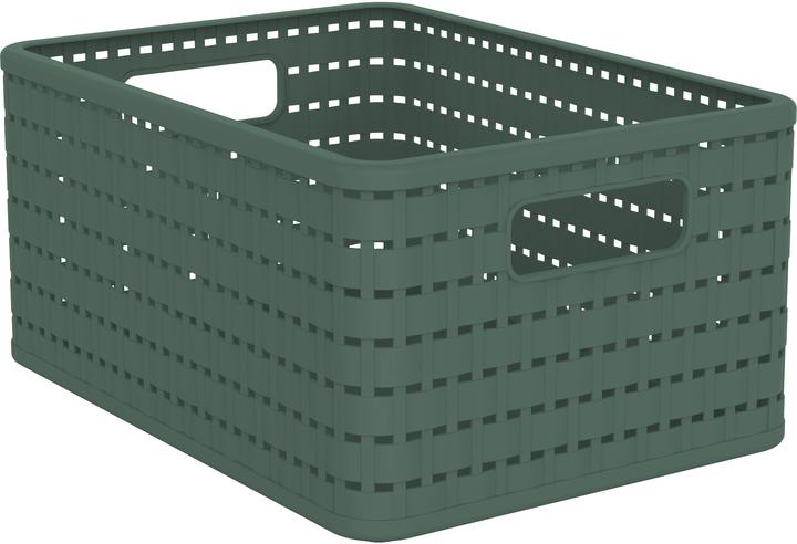 Rotho Korb (1 x, 32.8 x 23.8 x 16 cm)
