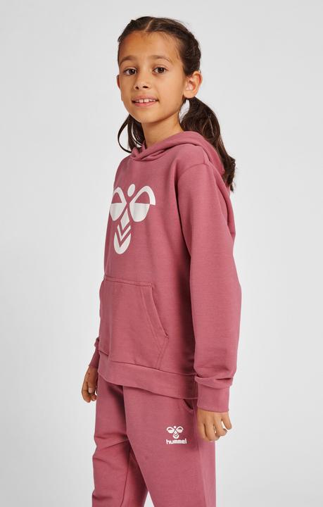 Image du produit hummel Cuatro Hoodie (122)