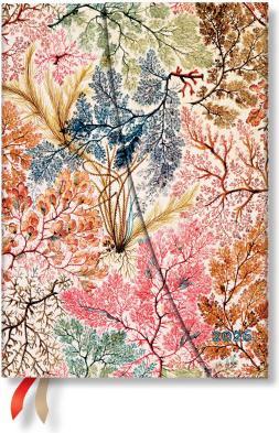 Produktbild Paperblanks PAPERBLAN Agenda Anemone 2026 DD0610-8 1W/1S VSO Midi HC DE 13x18cm (13 x 18 cm, Deutsch)