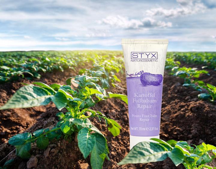 Produktbild Styx Kartoffel Fussbalsam Repair (Fussbad, 70 ml)