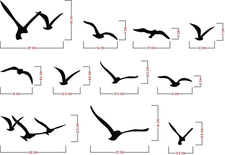 Actual product image Wallxpert Migration