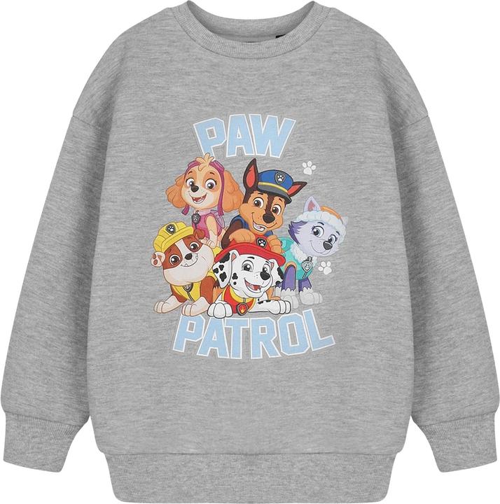 Actual product image Paw Patrol Childrens/Kids Logo Sweatshirt (98)