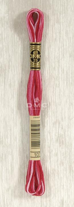 multicolore rose