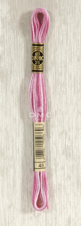 Rose multicolore