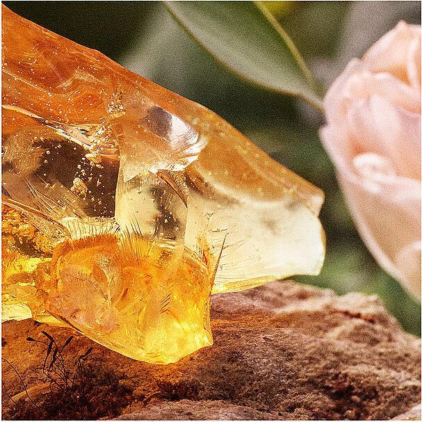 Immagine prodotto Chloé Ricarica di Eau de Parfum (Eau de parfum, 150 ml)