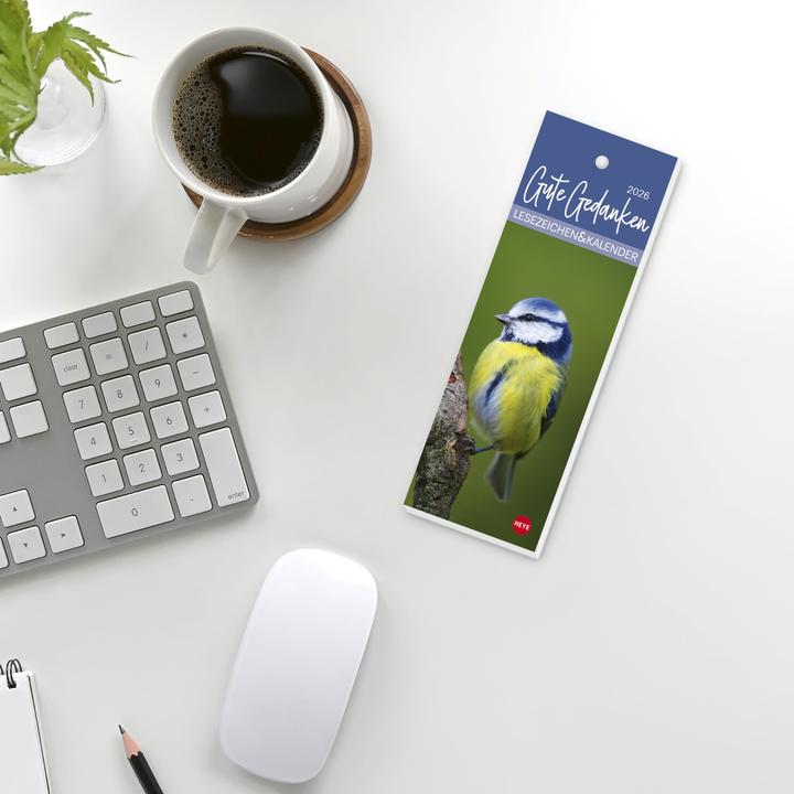 Actual product image Gute Gedanken Lesezeichen & Kalender 2026 (6 x 18 cm, Hardcover, German)