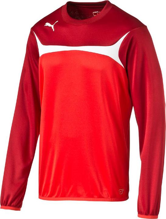Actual product image Puma Esito 3 Training Sweat (S)