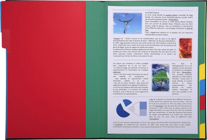 Actual product image Exacompta Ordnungsmappe (A4, 1 x)