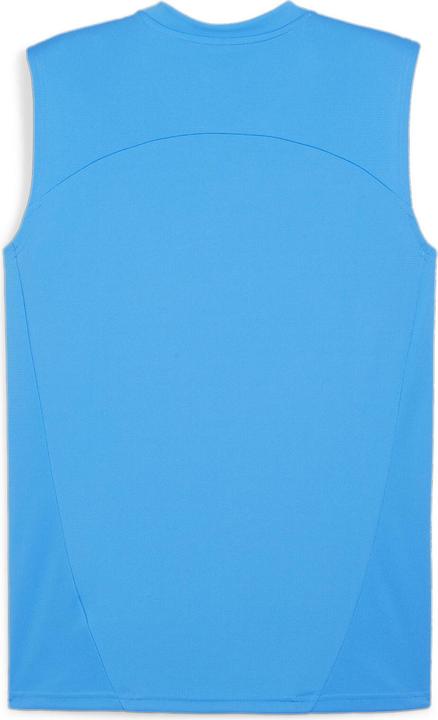 Actual product image Puma teamFINAL Training Jersey SL (XL)