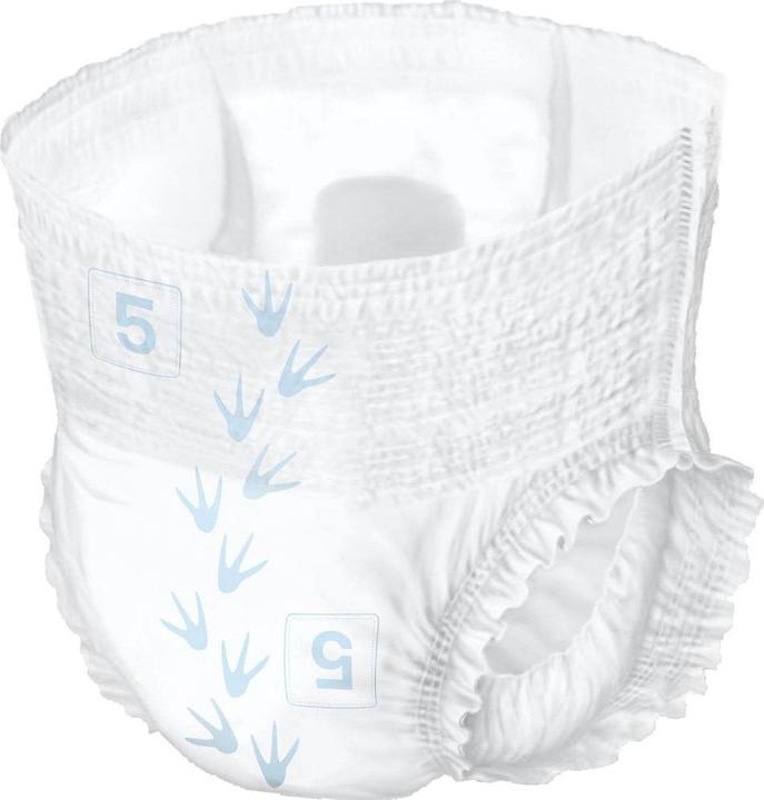 Produktbild Pingo Pants (Gr. 5, Monatsbox, 168 Stück)
