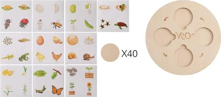 Produktbild Activity Board Baby Holzspielzeug Tier Lebenszyklus Erkenntnis Holzbrett Säuglingsspielzeug Early Educational Baby