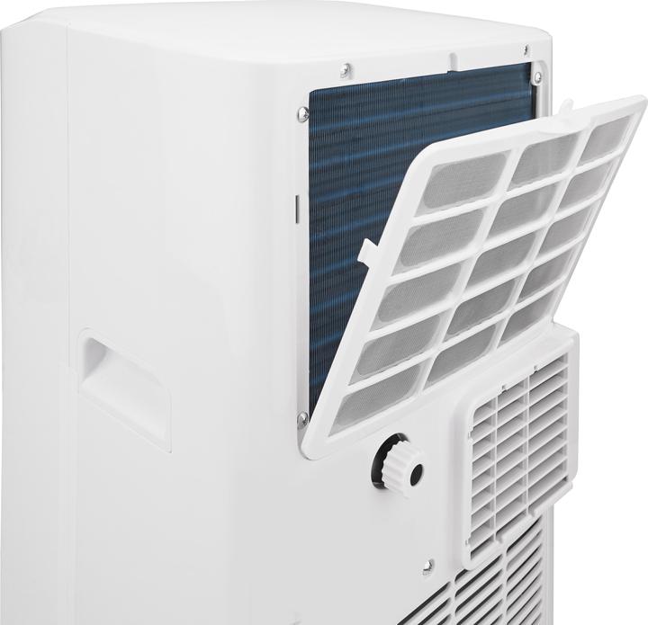 Actual product image Argo Swan Evo (7029.01 BTU/h)
