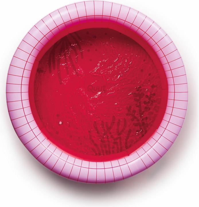 Actual product image Quut Paddling pool Dippy? Cherry Ø 120 cm, width