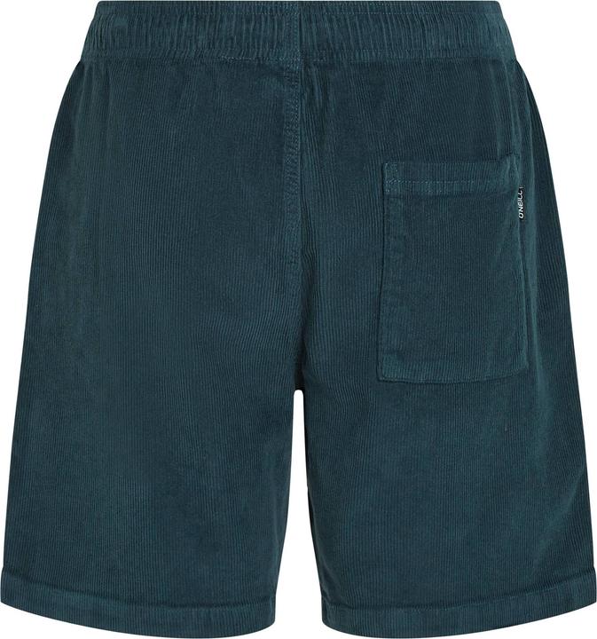 Actual product image O'Neill Cord Shorts (L)