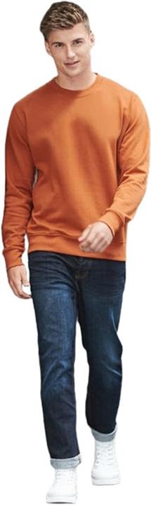 Image du produit Awdis Sweat-shirt pour adultes Just Hoods (S)