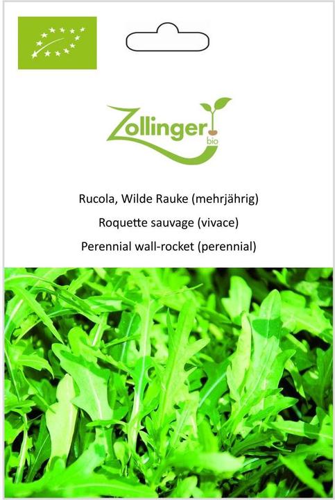 Image du produit Zollinger Bio Roquette, Roquette sauvage (plante vivace) (Germes)