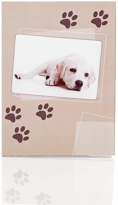 Produktbild Magni Briefpapierpack 10/10 Sam Hundepfoten (165 x 235 mm, 10 x)