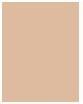 Produktbild Estée Lauder Pure Color Envy (Light Medium Matte)