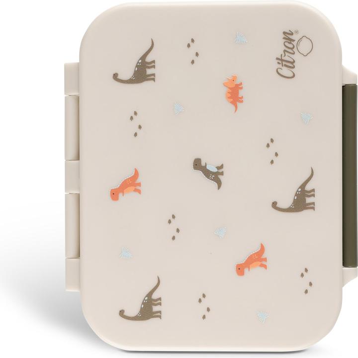Lunch boxes