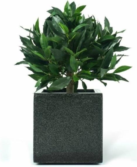 Produktbild Greendeco Künstlicher Lorbeerbaum 33 cm (33 cm)