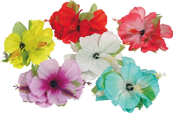 Produktbild Folat Hawaii-Blumen-Haar-Clip 6 assort - 1 Stück