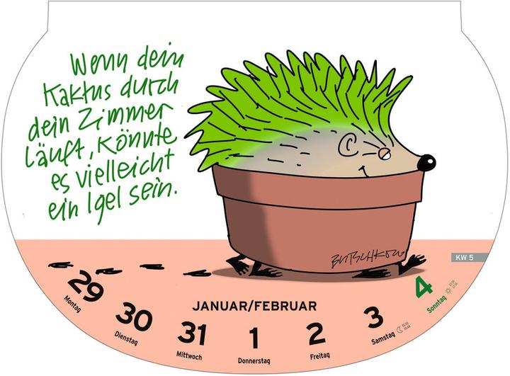 Image du produit Heye Calendrier illustré Proverbes stupides (21 x 29 cm, Non contraignant, Allemand)