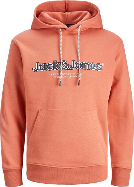 Image du produit Jack & Jones Sweat à capuche (M)