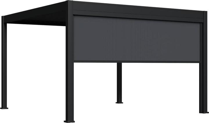 Immagine prodotto Weide Tenda parasole elettrica per salice Pergola elettrica | antracite (360 cm, 9 cm)