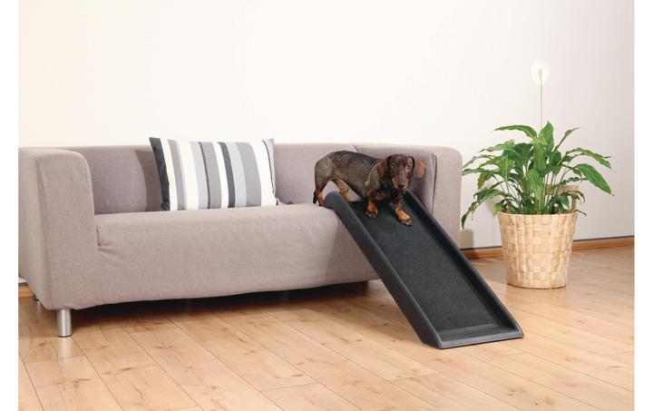 Image du produit Trixie Glasny (Chien)