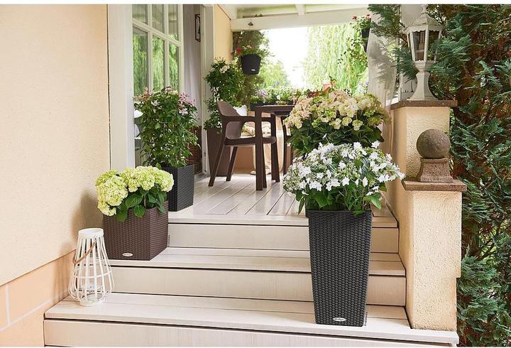 Produktbild Lechuza Cube Cottage (29.50 cm)