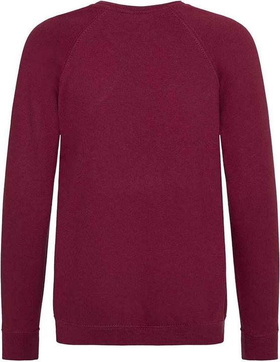 Actual product image Awdis Childrens/Kids Academy Raglan Sweatshirt (146, 152)