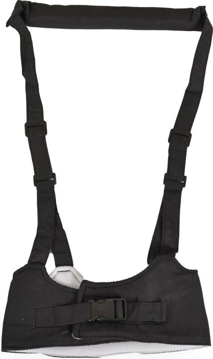 Produktbild Moni Babylaufgurt Walky BW001 Laufleine