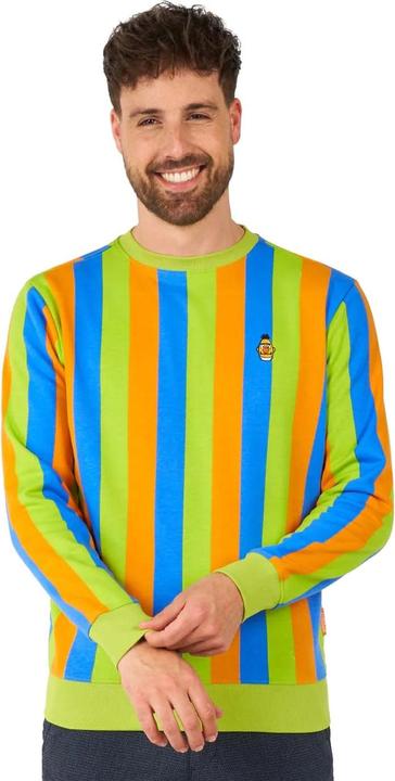 Actual product image OppoSuits – Sesamstrasse Bert Pullover (XS)