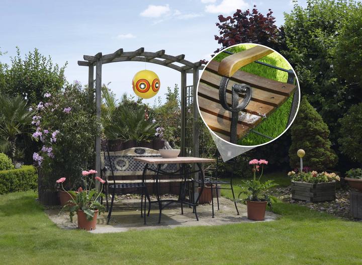 Produktbild Gardigo Vogelfrei Ballon