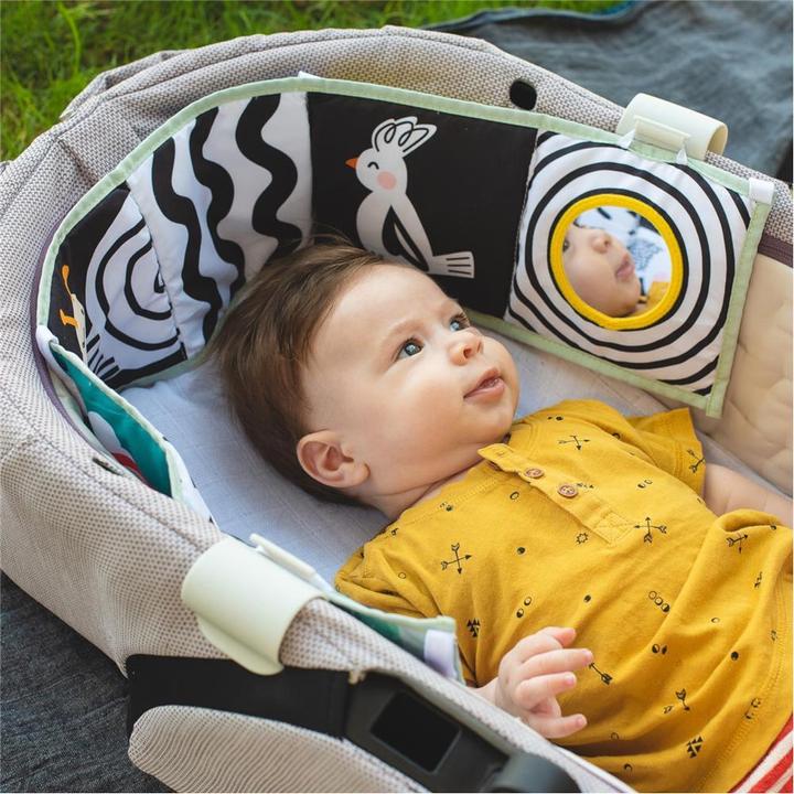Image du produit Taf Toys Livre bébé koala