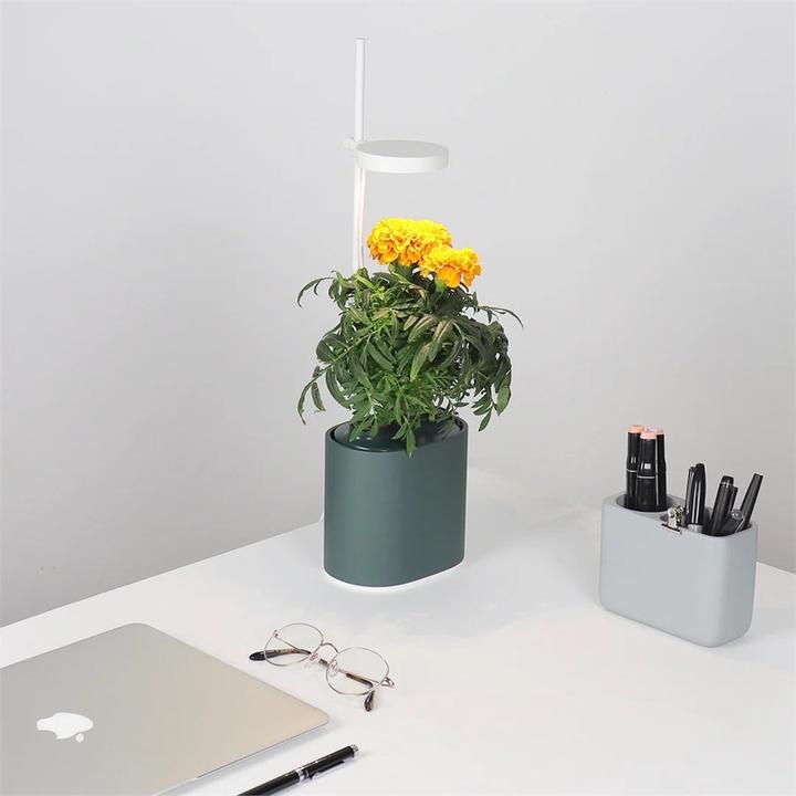 Actual product image Prêt à Pousser Herb Pot Nano, Forest Green (13.50 cm)