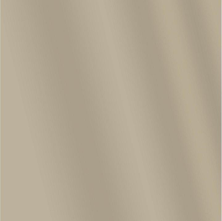 Image du produit Amsterdam Peinture acrylique Standard Series 815 (Étain, 120 ml)