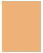 Actual product image MAC Cosmetics Studio Fix Tech Cream-To-Powder Foundation (No. NC16)